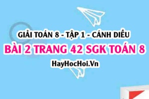 Giải bài 2 trang 42 Toán 8 Tập 1 SGK Cánh Diều